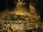 Video. Bomba d’acqua Napoli, strade diventano fiumi piena