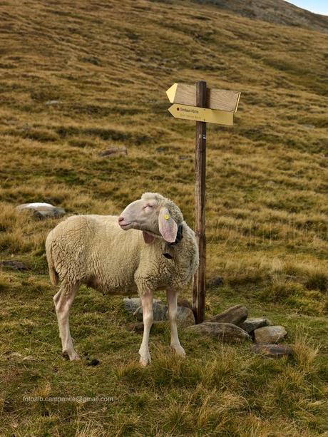 STORIE VIAGGI CULTURA IN MONDI NOSTRI