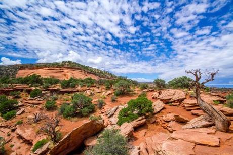 Dallo Utah al Colorado: tra ponti, rocce e ribs