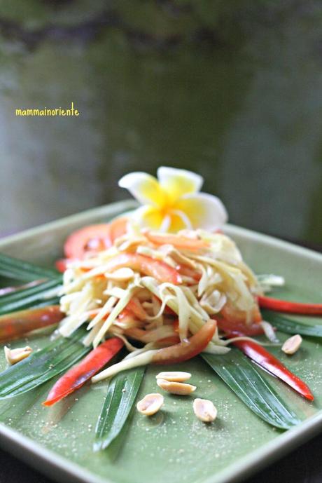 Insalata Thai di papaya verde, frutto dalle tante proprietà