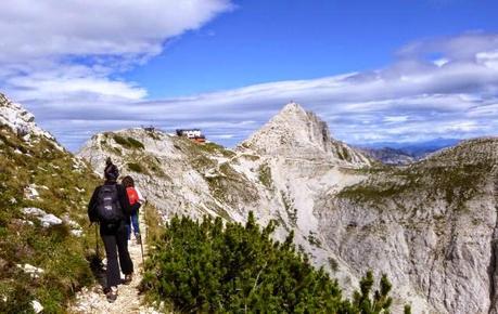 #trekking #13092014 #lessinia #108 #stellealpine #creste #carega