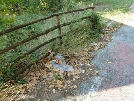 Ma quale sindaco ciclista!? Le ciclabili sono luoghi semplicemente horror, anche complicati da raccontare per come sono ridotti. Ecco tante foto da Montesacro