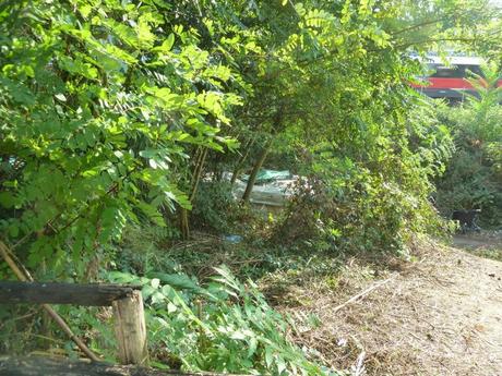 Ma quale sindaco ciclista!? Le ciclabili sono luoghi semplicemente horror, anche complicati da raccontare per come sono ridotti. Ecco tante foto da Montesacro