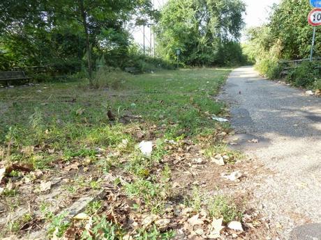 Ma quale sindaco ciclista!? Le ciclabili sono luoghi semplicemente horror, anche complicati da raccontare per come sono ridotti. Ecco tante foto da Montesacro