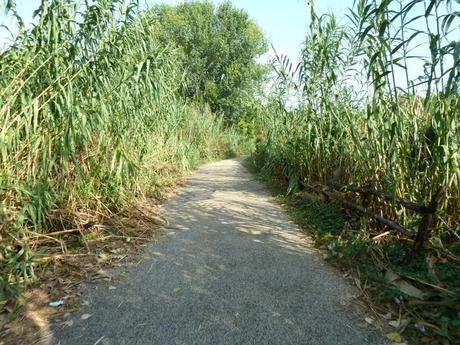 Ma quale sindaco ciclista!? Le ciclabili sono luoghi semplicemente horror, anche complicati da raccontare per come sono ridotti. Ecco tante foto da Montesacro