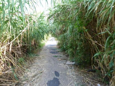 Ma quale sindaco ciclista!? Le ciclabili sono luoghi semplicemente horror, anche complicati da raccontare per come sono ridotti. Ecco tante foto da Montesacro