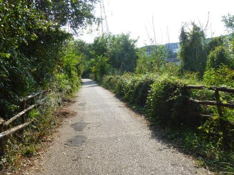 Ma quale sindaco ciclista!? Le ciclabili sono luoghi semplicemente horror, anche complicati da raccontare per come sono ridotti. Ecco tante foto da Montesacro