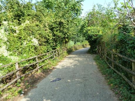 Ma quale sindaco ciclista!? Le ciclabili sono luoghi semplicemente horror, anche complicati da raccontare per come sono ridotti. Ecco tante foto da Montesacro