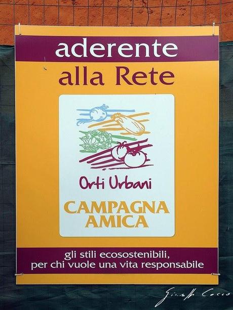 L'orto urbano perfetto nel fascino dell'Urbe