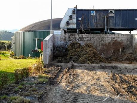 Campania: Azienda Zootecnica Agricola Casearia Chirico