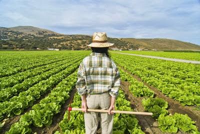 Per una cultura del lavoro della terra: Giovani protagonisti nell’agricoltura