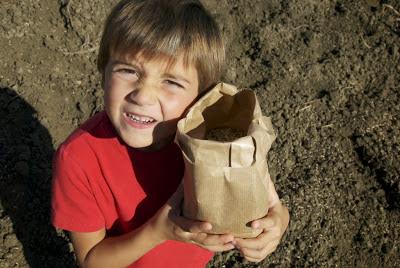 SEMINARE IL FUTURO! Domenica 13 ottobre tutti a seminare il grano