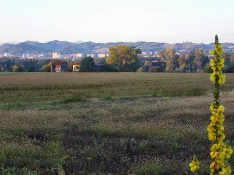 Serravalle Scrivia (AL)