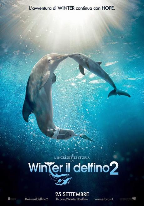 L'incredibile storia di Winter il Delfino 2 il nuovo film della Warner Bros Italia
