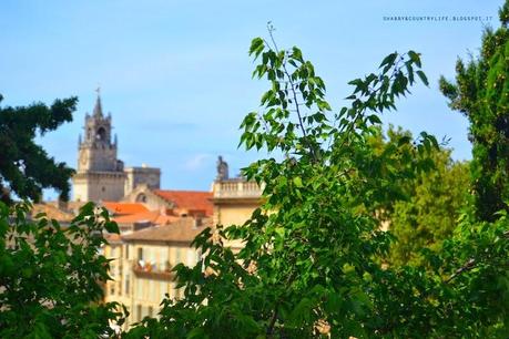 Avignone - shabby&countrylife.blogspot.it