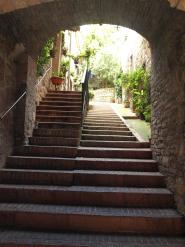 Seguendo le orme… Assisi, Roma e la Verna.