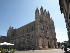 Seguendo le orme… Assisi, Roma e la Verna.