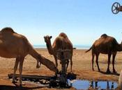 Acqua Asia Centrale, situazione preoccupante