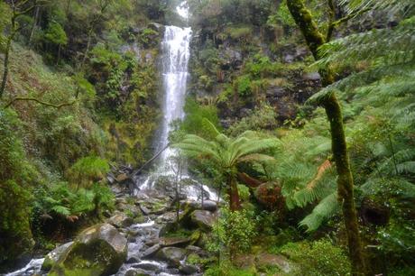 Erskine Falls  (2)