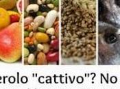 plumcake amico
