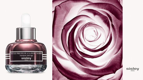 IL NUOVO ELIXIR di BELLEZZA: HUILE PRECIEUSE A LA ROSE NOIRE di SISLEY PARIS