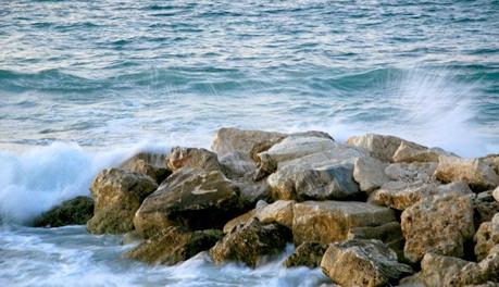 LA CONCHIGLIA DI BREZZA DI MARE