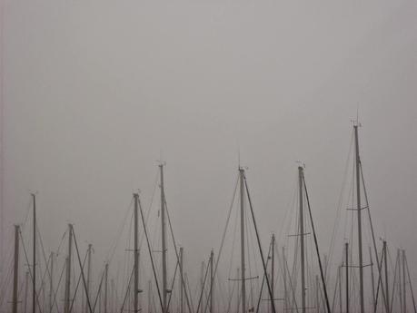 Camargue, un grande fascino. Amo la Francia.