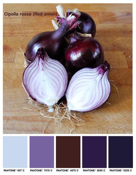 cipolla, cipolla rossa, cipolla di tropea, red onion, onion, onions, colors, colori, foodcolors, pantone, palette, viola, purple,