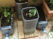 Ecofioriere bidoni dell’acqua esausti @theecoowl [Tutorial]