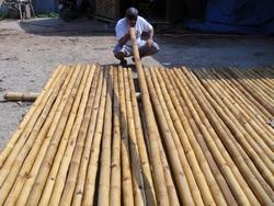 Lavorazione canne di bamboo