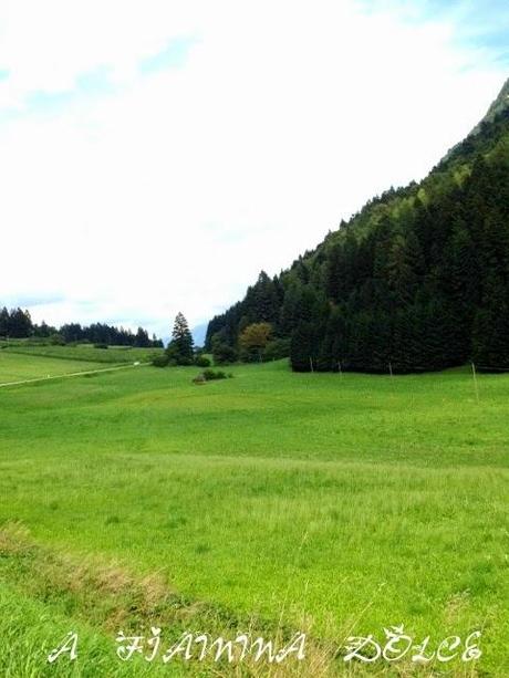 Lago di Tenno, Fiavè e i suoi formaggi