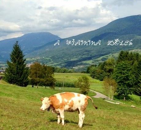 Lago di Tenno, Fiavè e i suoi formaggi