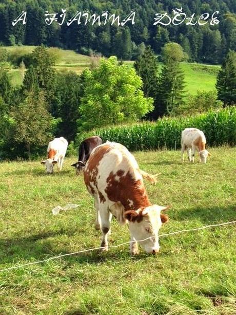 Lago di Tenno, Fiavè e i suoi formaggi