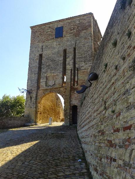 UNA PASSEGGIATA A NOVILARA