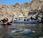 Oman: spettacolari incontri sottomarini nelle acque Musandam