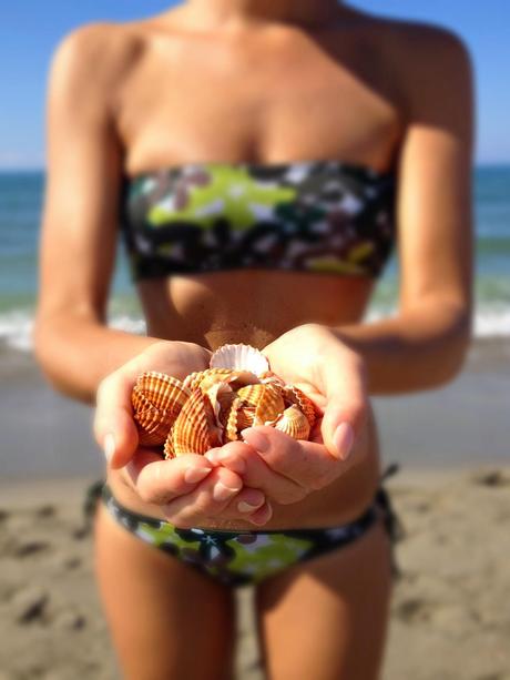 La vita è una manciata di conchiglie rosse e un'insalata bouquet