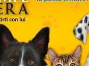 “Quattro zampe fiera” alla Mostra d’Oltremare 20-21 settembre