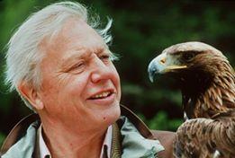 david attenborough3