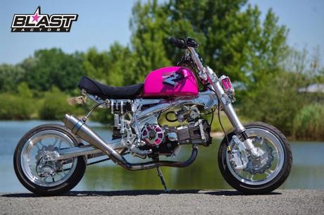 Honda Gorilla DOHC by Blast Factory