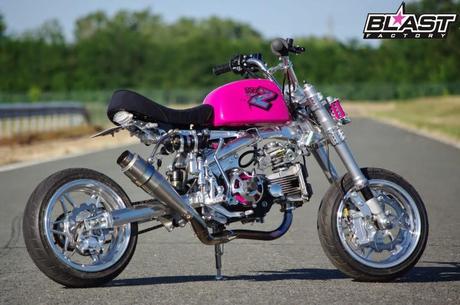 Honda Gorilla DOHC by Blast Factory