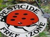 Malles: nella Venosta primo comune italiano mette bando pesticidi