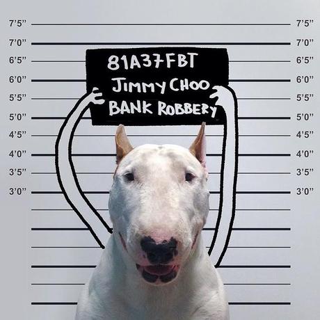 jimmy-choo-bull-terrier-illustrations-rafael-mantesso-4