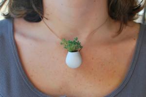 Wearable Planter-copertina