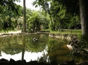 fontana dalla grande Vasca Villa Sciarra