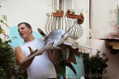 XXIII edizione della FESTA del PESCE : La Pulitura .....