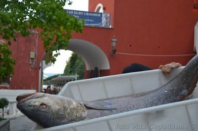 XXIII edizione della FESTA del PESCE : La Pulitura .....