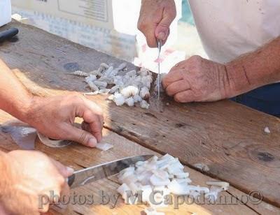 XXIII edizione della FESTA del PESCE : La Pulitura .....