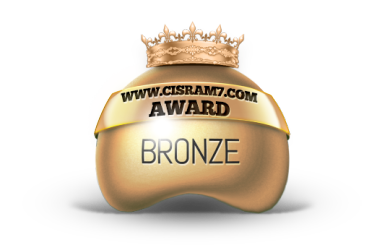 bronze award