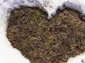 piccoli piaceri della vita consiglio settimana migliorare propria quella altrui