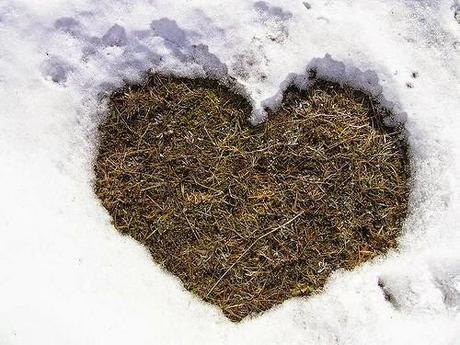 I piccoli piaceri della vita | Un consiglio a settimana per migliorare la propria vita e quella altrui